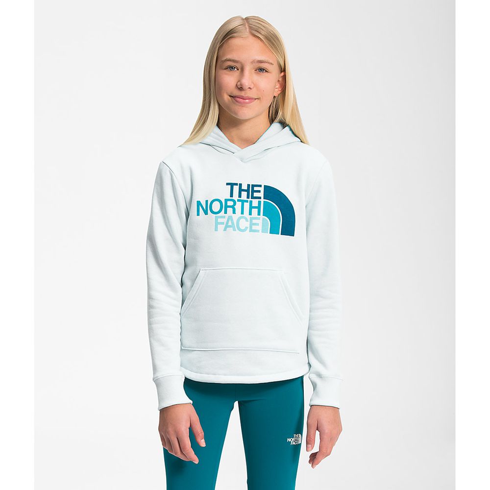 The North Face Hoodie Girls Australia - The North Face Camp Fleece Pullover Blue (SQG-956807)